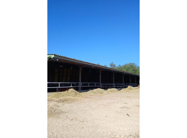 Ladignac-le-Long, Limousin 87500