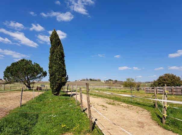 Saint-Macaire, Aquitaine 33490