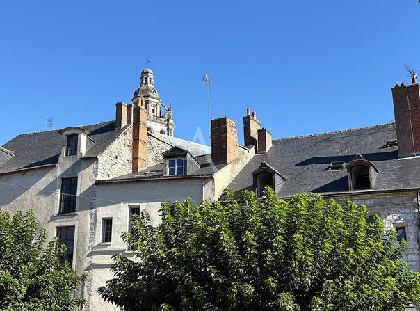 BLOIS, Centre-Val de Loire 41000