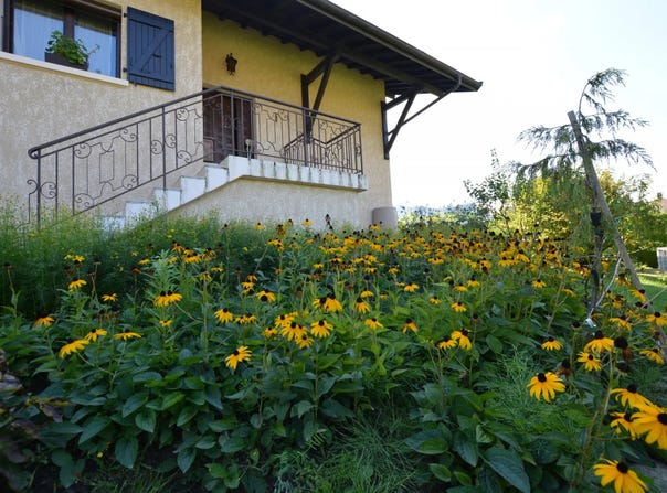 Scionzier, Haute-Savoie 74950