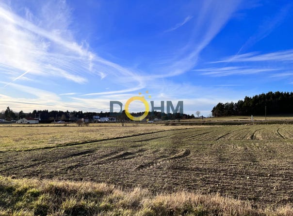 Sainte-Sigolène, Haute-Loire 43600