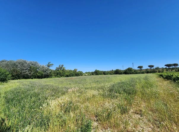 Trèbes, Aude 11800