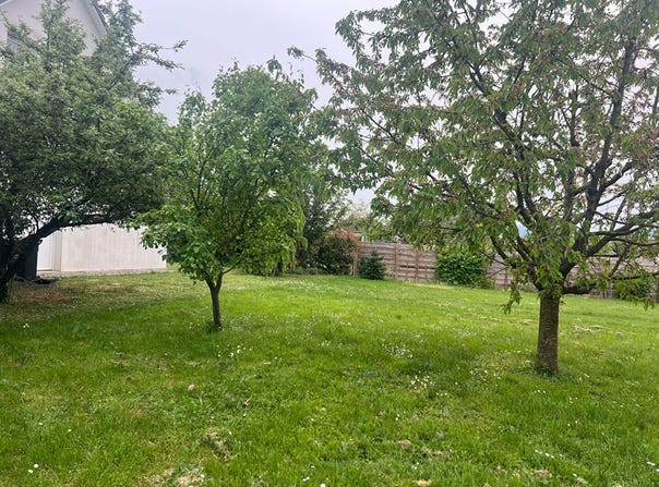 MERXHEIM, Grand Est 68500
