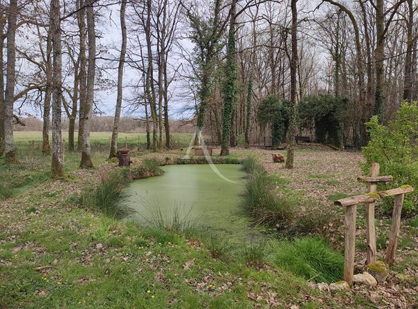 LAMOTTE BEUVRON, Centre-Val de Loire 41600