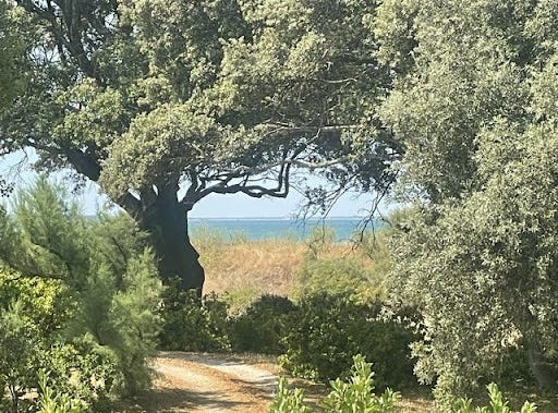 CHATELAILLON-PLAGE, Nouvelle-Aquitaine 17340