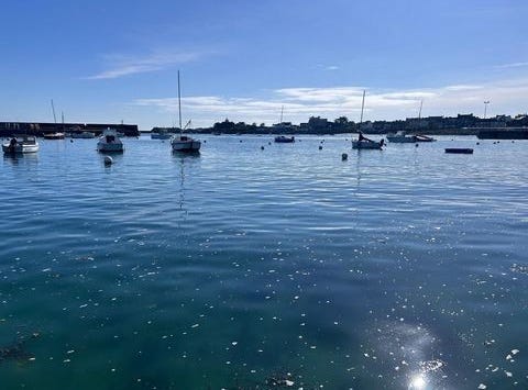 Roscoff, Bretagne 29680