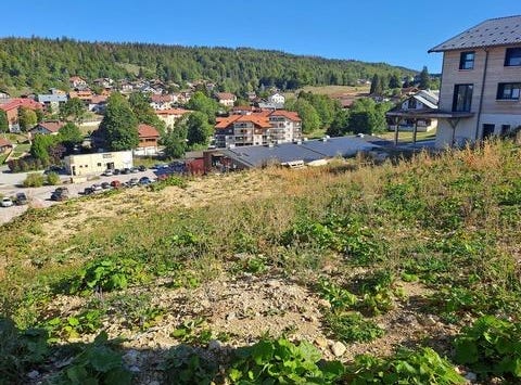 Les Rousses, Jura 39220