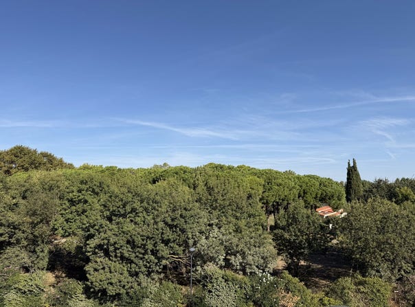 Saint-Cyprien, Languedoc-Roussillon 66750