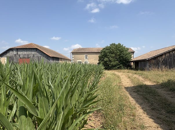 LAFITTE SUR LOT, Nouvelle-Aquitaine 47320