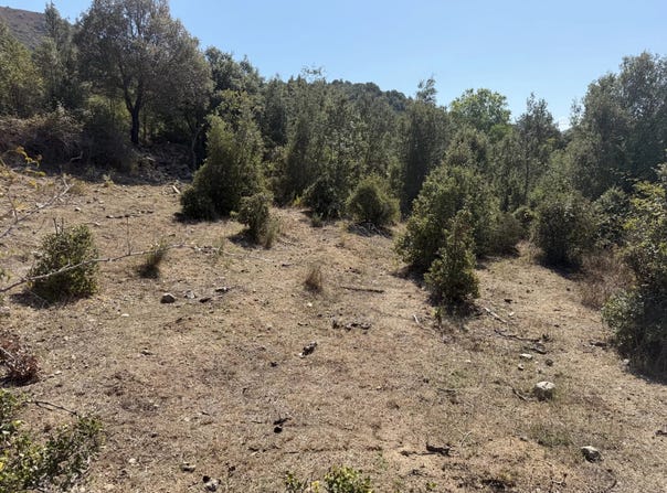 Canavaggia, Haute-Corse 20235
