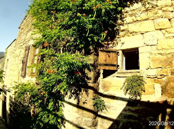 Les Vignes, Lozère 48210