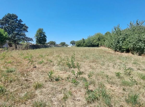 Cintegabelle, Haute-Garonne 31550