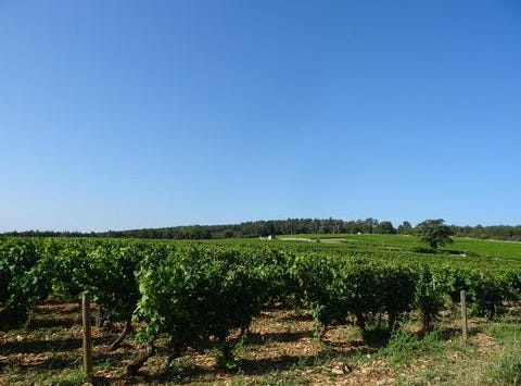 Chagny, Bourgogne 71150