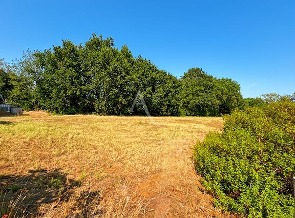 CHALLANS, Pays de la Loire 85300