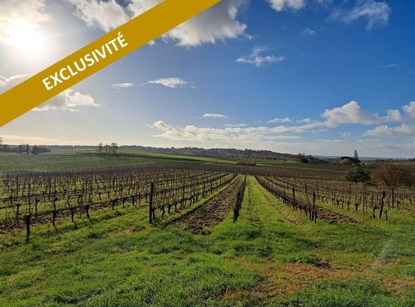 Saint-Macaire, Aquitaine 33490
