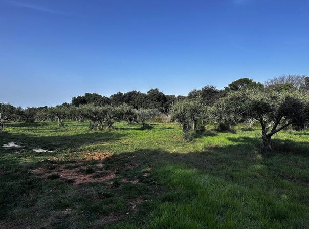 Uzès, Languedoc-Roussillon 30700