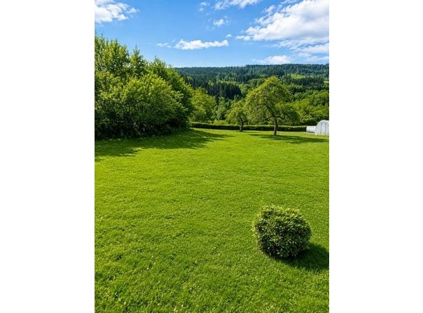 Granges-Aumontzey, Lorraine 88640