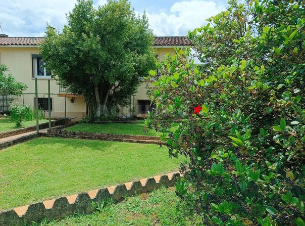 Castres, Tarn 81100