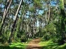 Anglet, Aquitaine 64600