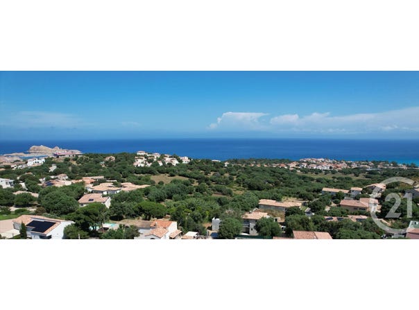 Monticello, Corsica 20220