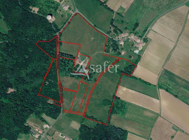 Mirambeau, Poitou-Charentes 17150