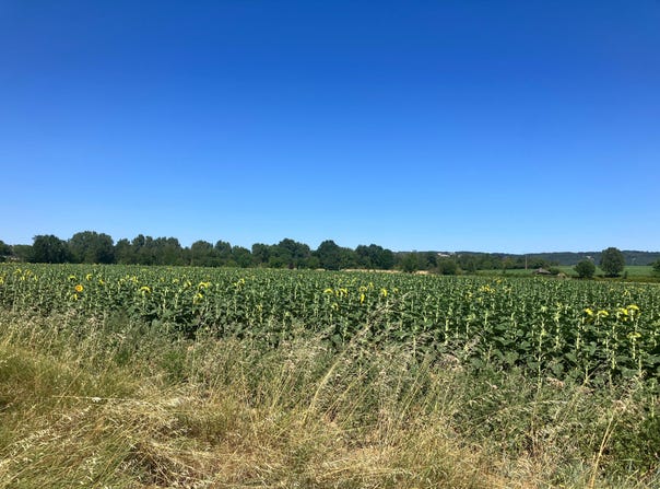 Cheyssieu, Auvergne-Rhône-Alpes 38550