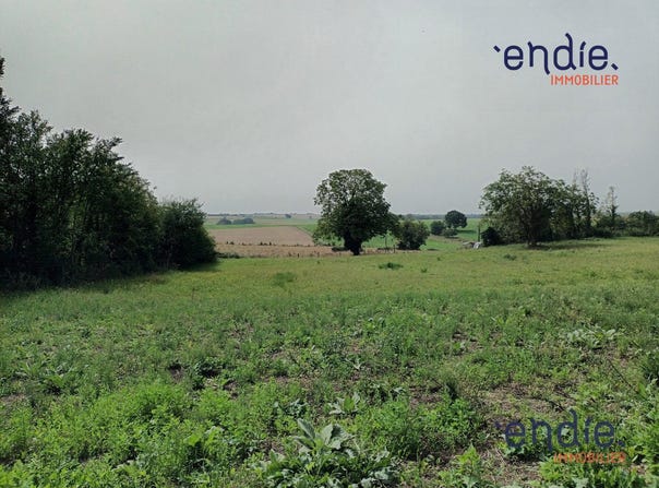 Seuilly, Centre-Val de Loire 37500