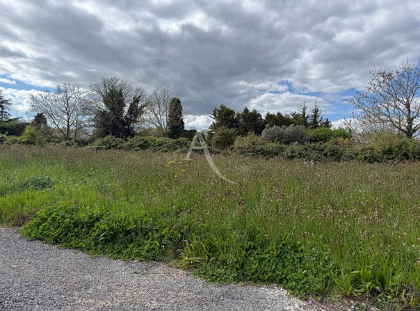 LA JONCHERE, Pays de la Loire 85540