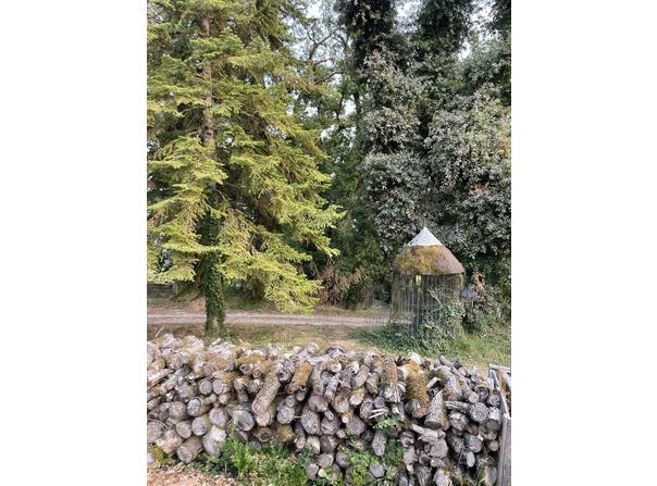 Molières, Midi-Pyrénées 82220