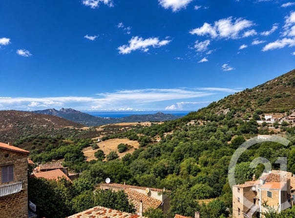 Nessa, Corsica 20225