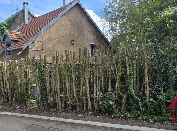 Thieffrans, Bourgogne-Franche-Comté 70230