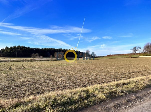 Sainte-Sigolène, Haute-Loire 43600