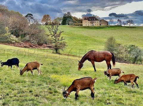 Campagne, Aquitaine 24260