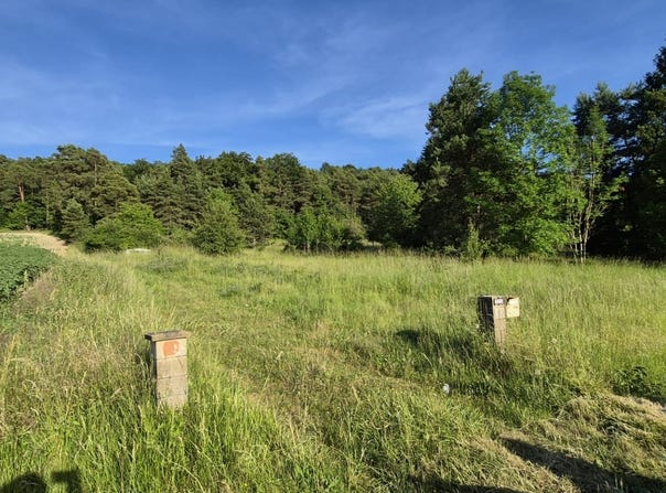 Villedieu, Bourgogne-Franche-Comté 21330