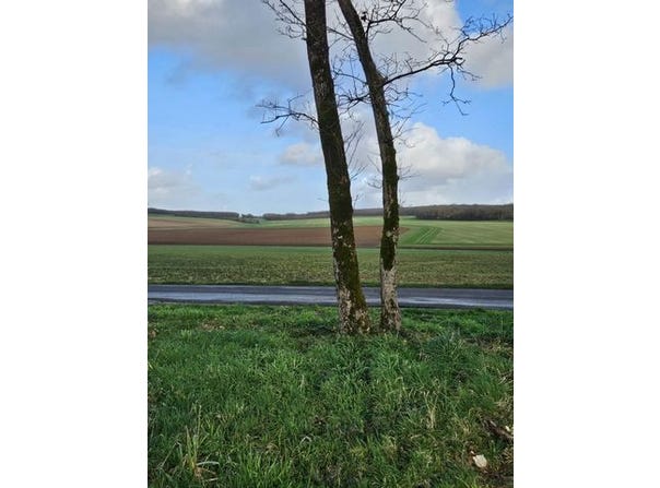 Bignay, Poitou-Charentes 17400