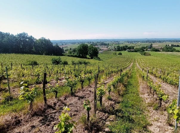 Saint-Magne-de-Castillon, Aquitaine 33350