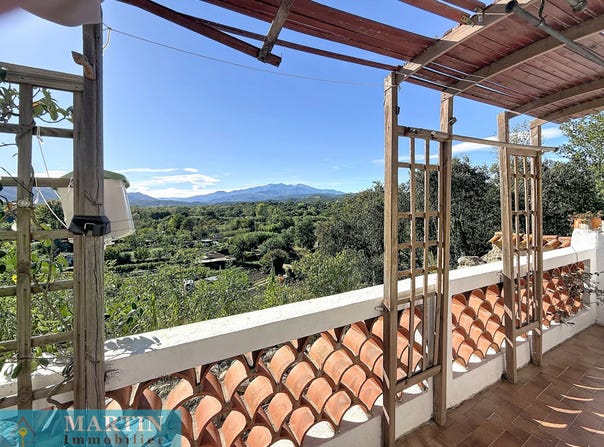 Saint-Jean-Pla-de-Corts, Languedoc-Roussillon 66490