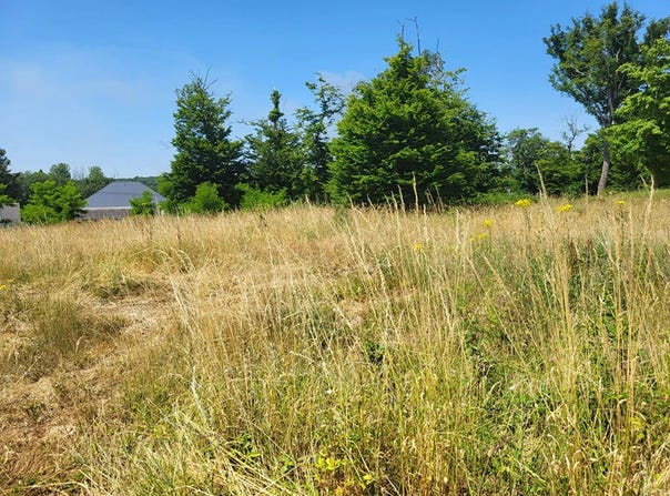 Cellettes, Loir-et-Cher 41120
