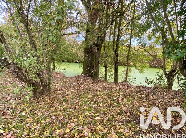 La Taillée, Pays de la Loire 85450
