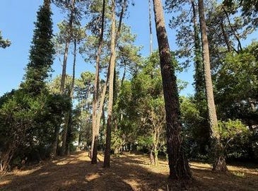 SOORTS HOSSEGOR, Aquitaine 40150
