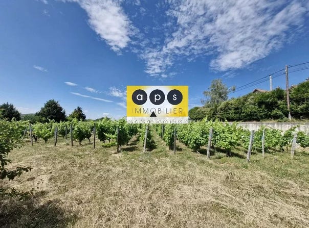 Arbois, Jura 39600