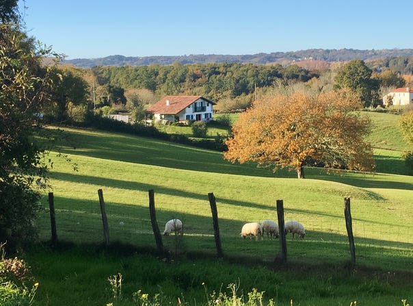BRISCOUS, Nouvelle-Aquitaine 64240