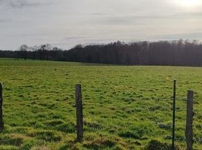 Dompierre-Sur-Veyle, Rhône-Alpes 01240