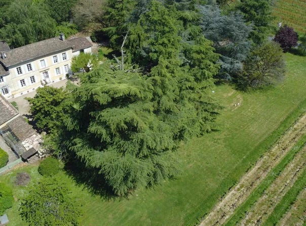 Saint-Magne-de-Castillon, Aquitaine 33350