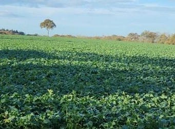 Pontchateau, Pays de la Loire 44160