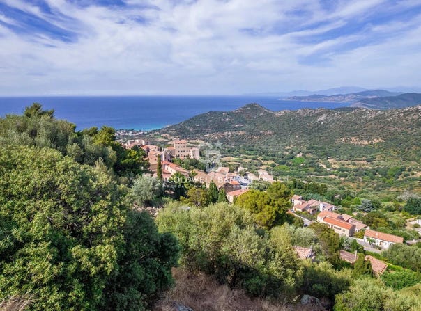 Monticello, Corsica 20220