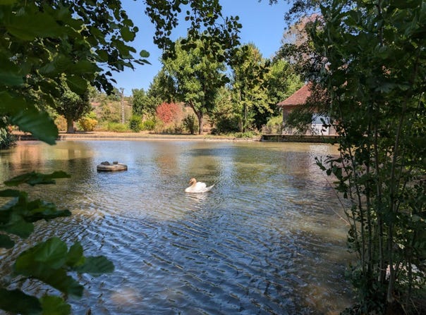 La Clayette, Burgundy 71800