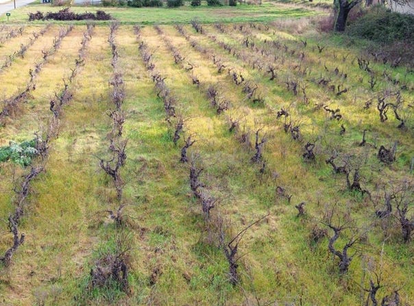 Sainte-Cécile-les-Vignes, Provence-Alpes-Côte d'Azur 84290