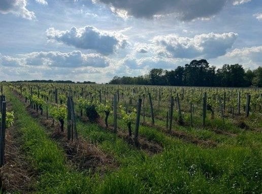Néac, Aquitaine 33500