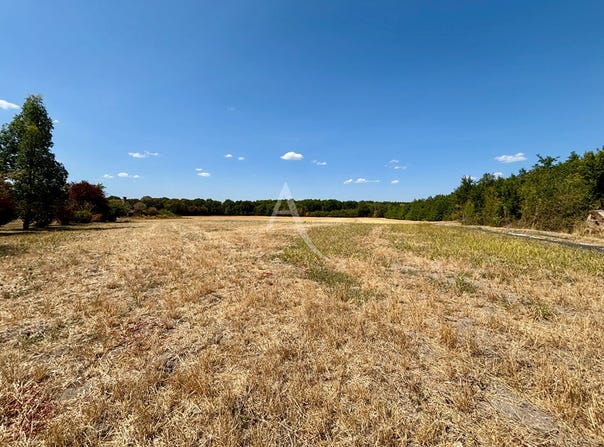 CHEMERY, Centre-Val de Loire 41700